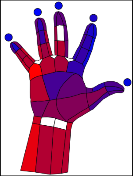 ../_images/colored_hand_blue_red.png
